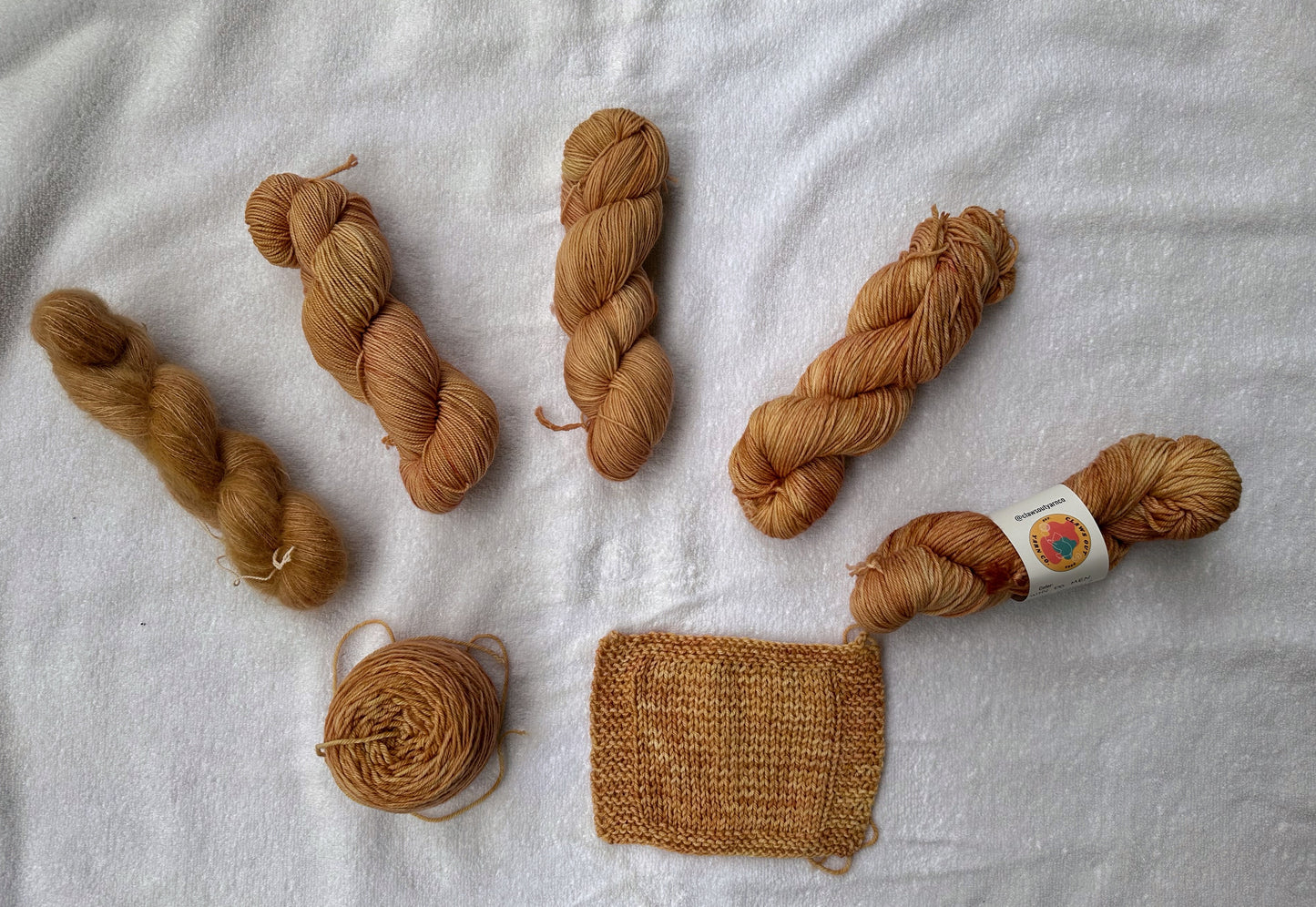 Why Do Men Chase Women?