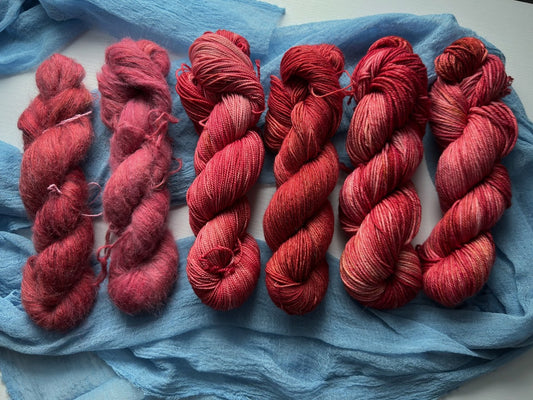 The Winner Takes it All