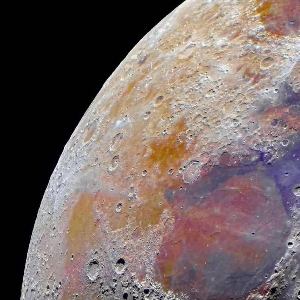 MOON JOY